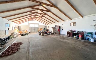 Ferma de vanzare cu 550MP utili si 27.500MP teren la asfalt - Poză 9