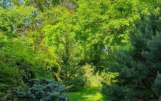 Vila 4 Camere Baneasa - Liceul Francez - - Poză 16