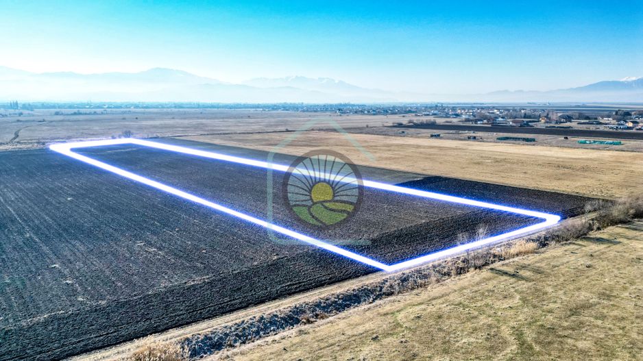 TEREN STUPINI-COMISION 0 - Poză 2