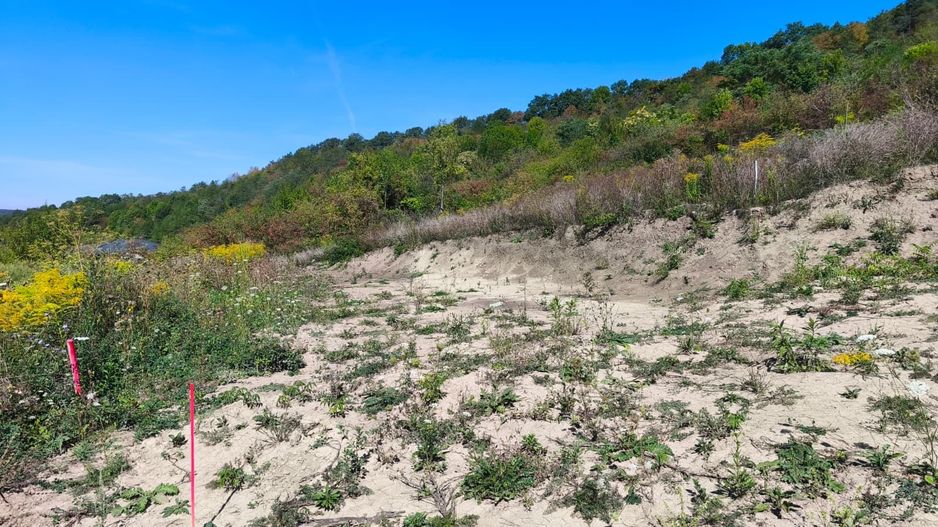 Corunca - 650 mp cu PUZ - zona superba si linistita - Poză 3