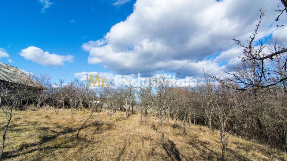 Casa traditionala argeseana – comuna Vedea, jud. Arges - Poză 8