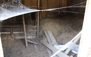 Fabrică de cherestea | Câmpeni | teren 8.000 mp - Poză 12