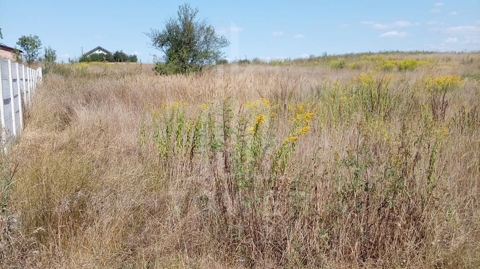 Teren intravilan de vânzare în Avrig | 1.000 mp | PUZ aprobat - Poză 4