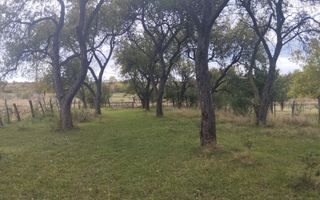 Teren intravilan 1500 mp-ideal casa-Mijlocenii Bargaului - Poză 1