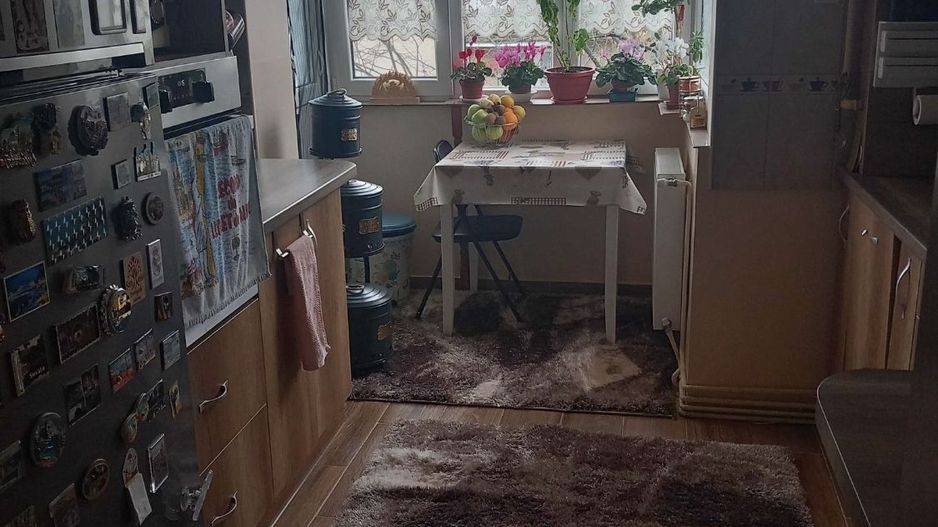 Apartament cu 2 camere pe Drumul Careiului - Poză 7