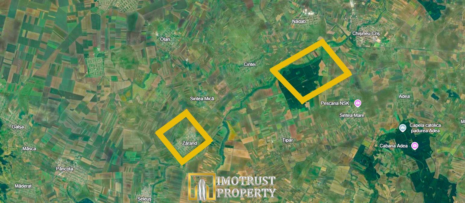 Teren agricol de vânzare în comuna Zărand, județul Arad – 34 ha - Poză 2