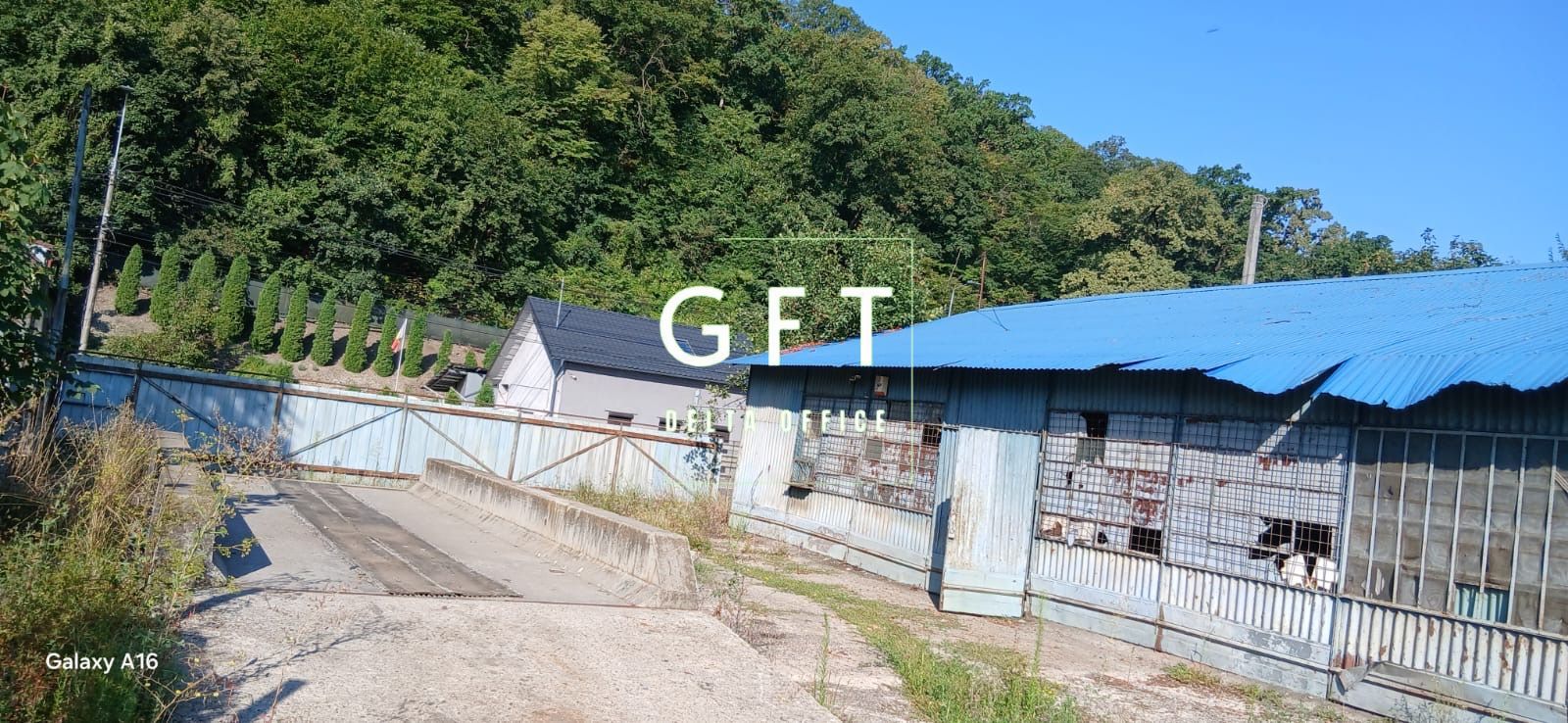 Proprietate Industrială Dej - Poză 5