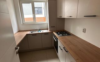 Apartament 2 camere,  gradina 100 mp, parcare,  pet-friendly, zona TCI - Poză 6