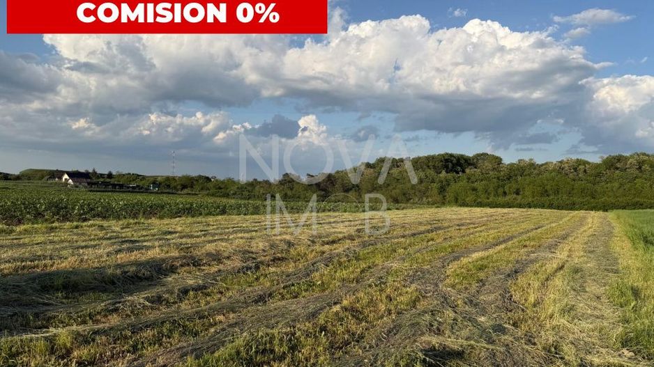 Teren de vânzare în Ocna Sibiului – Locație premium lângă lacurile sărate - Poză 1
