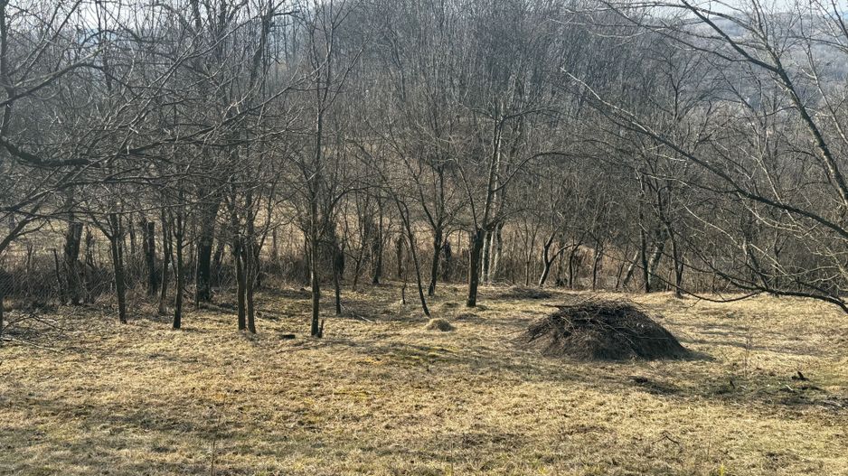 Teren intravilan 2788 mp deschidere 55 ml cu vedere panoramica ! - Poză 4