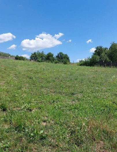 Vanzare teren 1350 mp, Stefanesti Sat - Poză 3