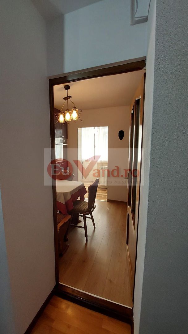 De închiriat apartament cu 3 camere, etaj 1, Siderurgistilor, 400 euro - Poză 14