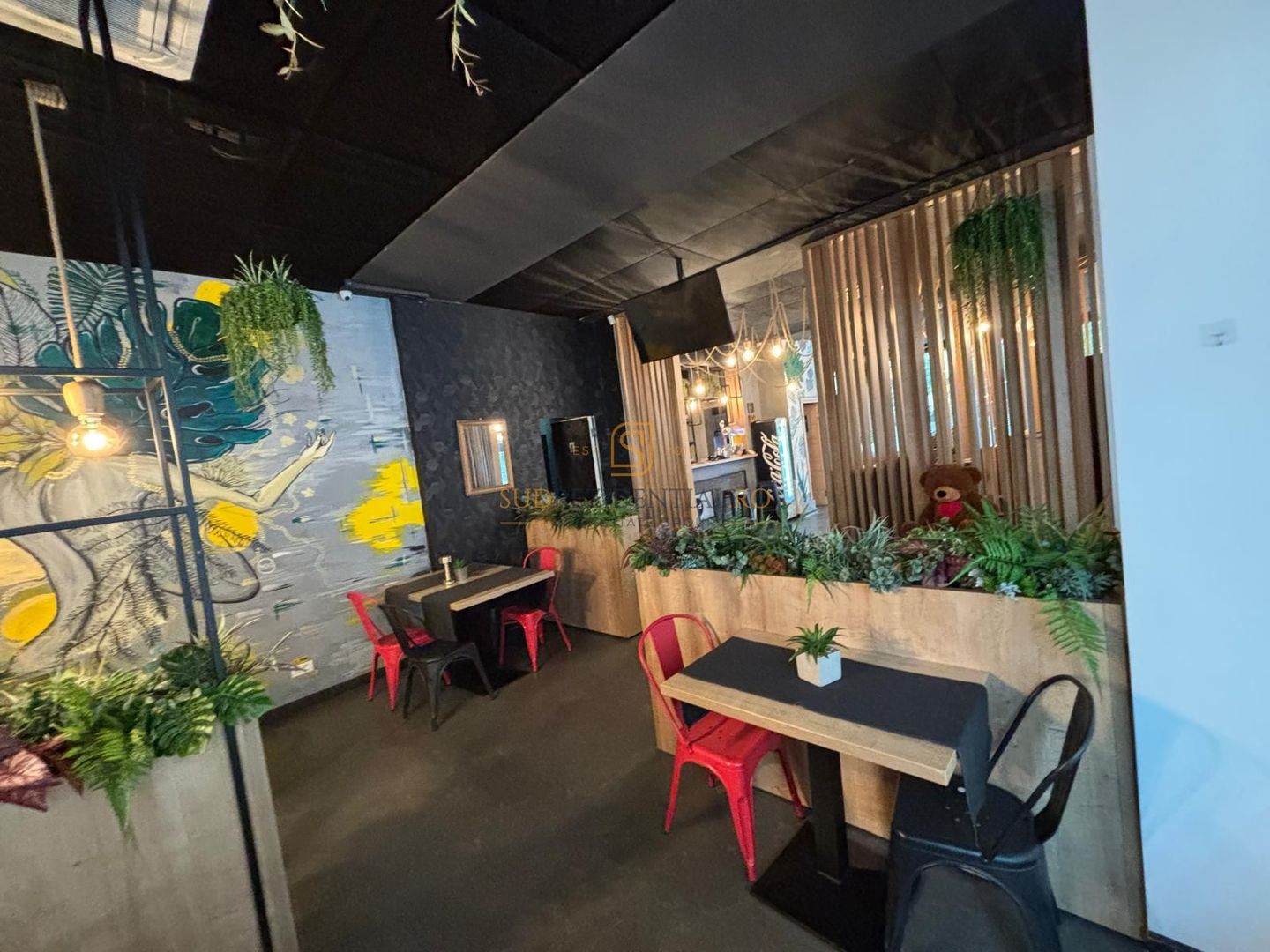 Restaurant complet echipat, afacere la cheie, Popesti Leordeni - Poză 6