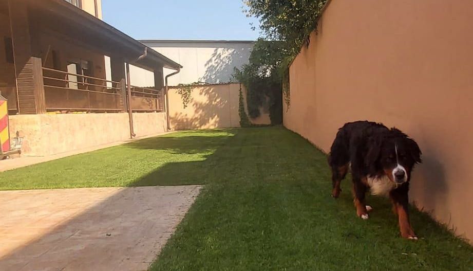 Pipera Vand Birou Locuinta Vila Casa Proprietar Comision 0% - Poză 4