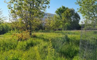 Teren  stradal dezvoltare imobiliara - Poză 6