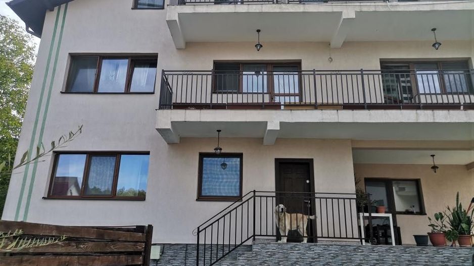 Vanzare vila deosebita, Valea Mare, central - Poză 2