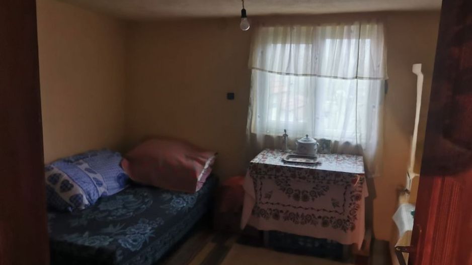 De vanzare casa in Argetoaia cu teren 7.000 mp - Poză 9