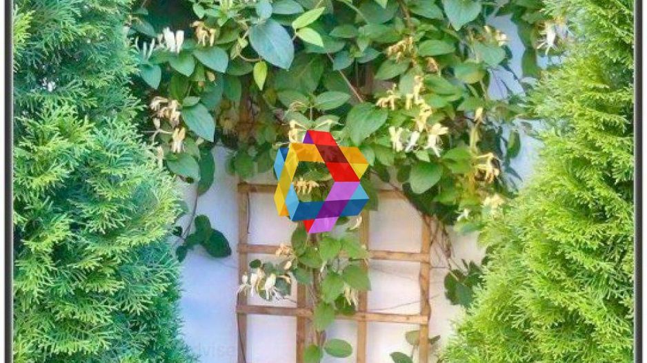 Casa Restaurant cu gradina - 250 mp - Poză 15