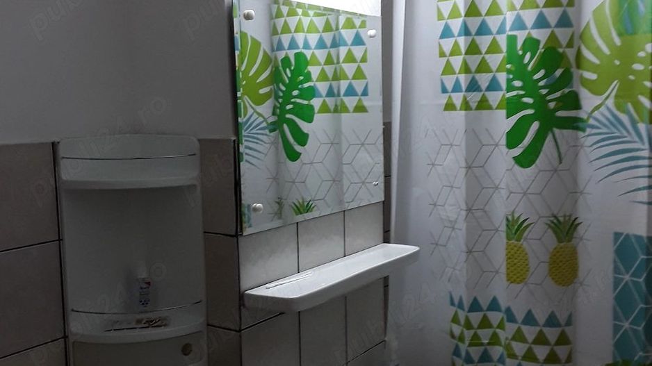Apartament Unirii // Goga - Poză 5