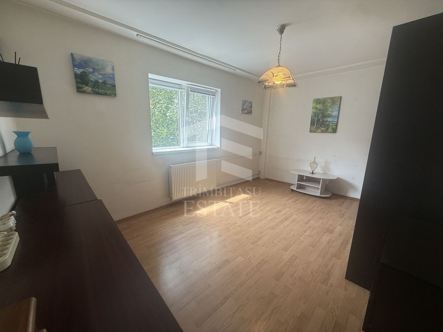 Garsoniera Lacul Tei Barbu Vacarescu - Poză 2
