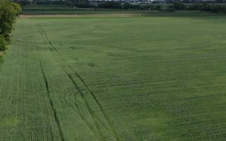 Teren intravilan 50000 mp, cu PUZ, Aprobat - zona Halchiu/Codlea - Poză 7