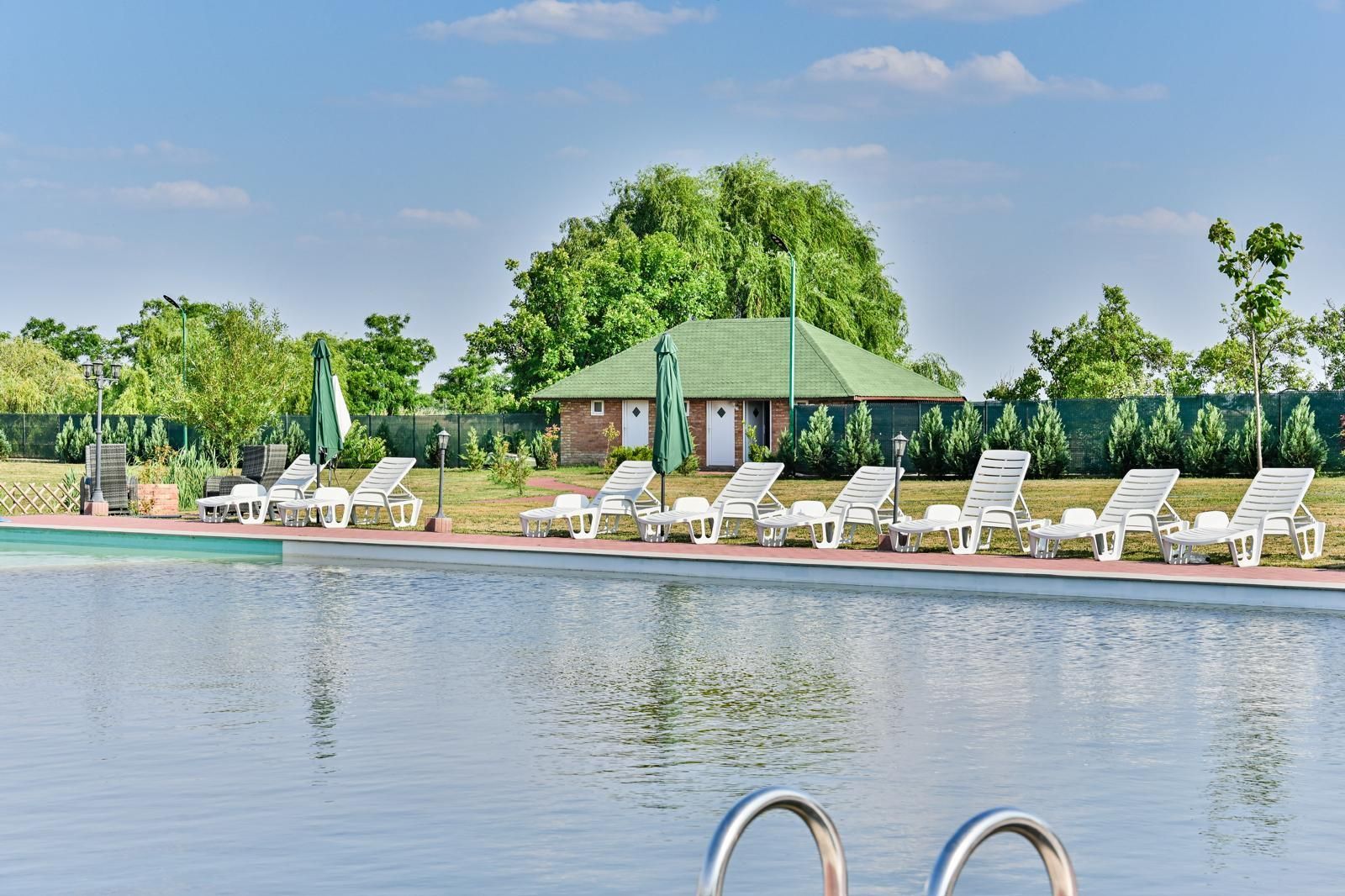 Sala de evenimente cu  piscina si foisor Biled COMISION 0 % CUMPARATOR - Poză 18