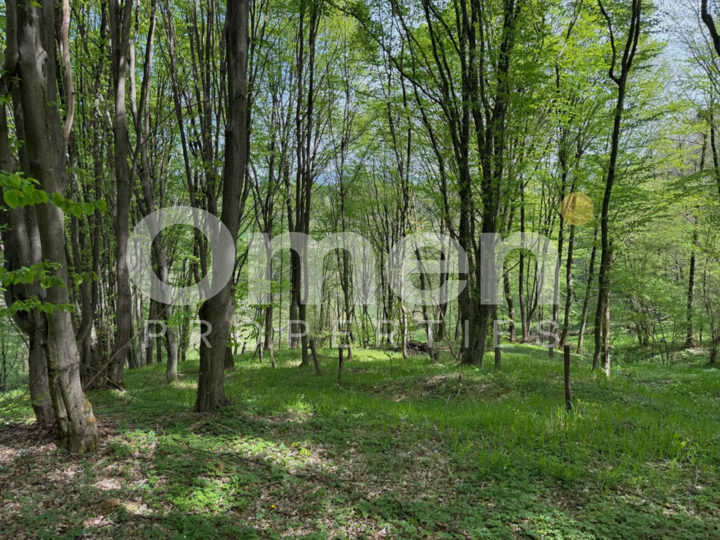 Ideal pentru cabana | zona de camping - Poză 2