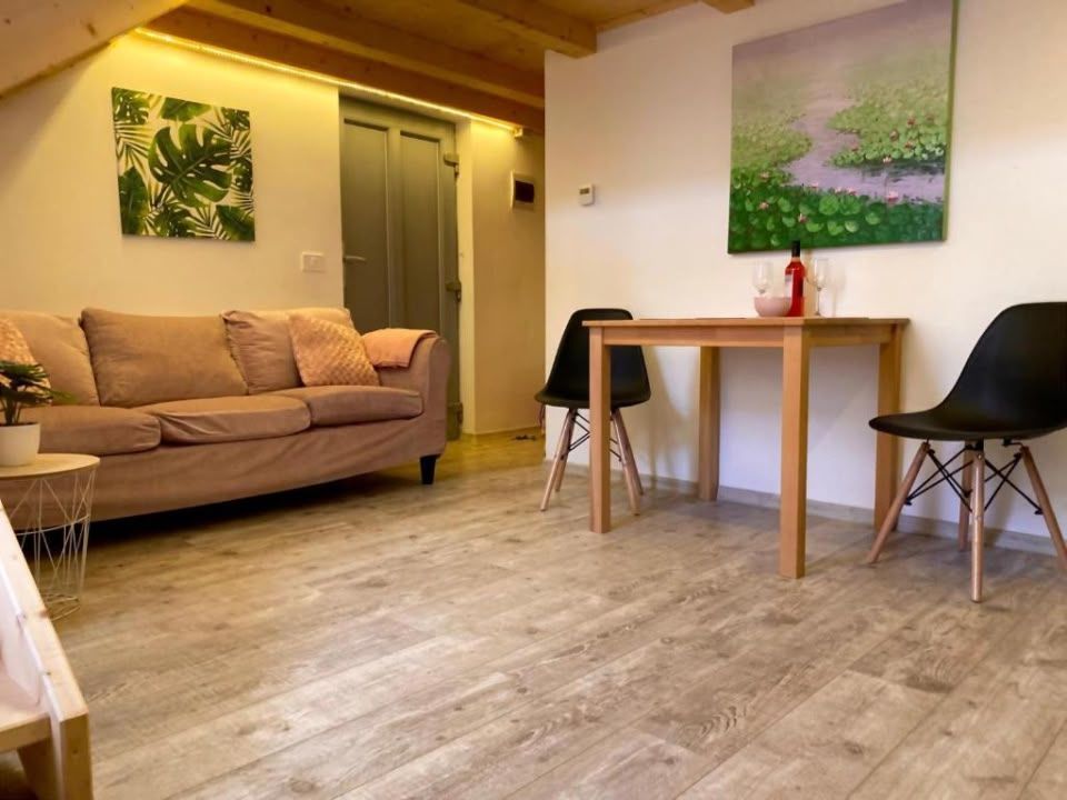 Oportunitate investitie, 9 Apartamente, Ultracentral - Poză 10