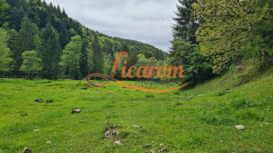 13005 mp teren faneata in Bran Simon cu fornt de 57 mp - Poză 10