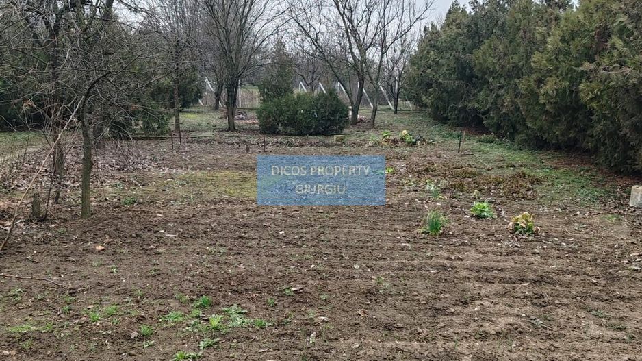 Teren 2.600 mp, utilități, Str. Merișor – Giurgiu - Poză 4