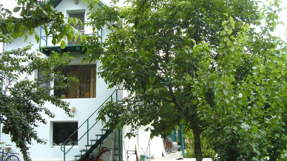 Casa in zona centralain vecinatatea padurii - Poză 7