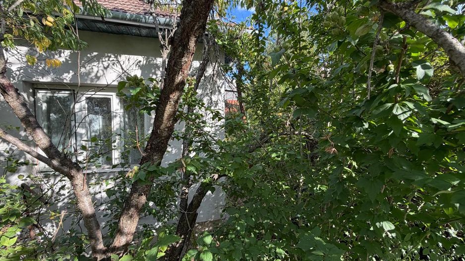 Casă de vânzare renovabilă | Gruia | Teren 380 mp | Front la 2 străzi - Poză 13