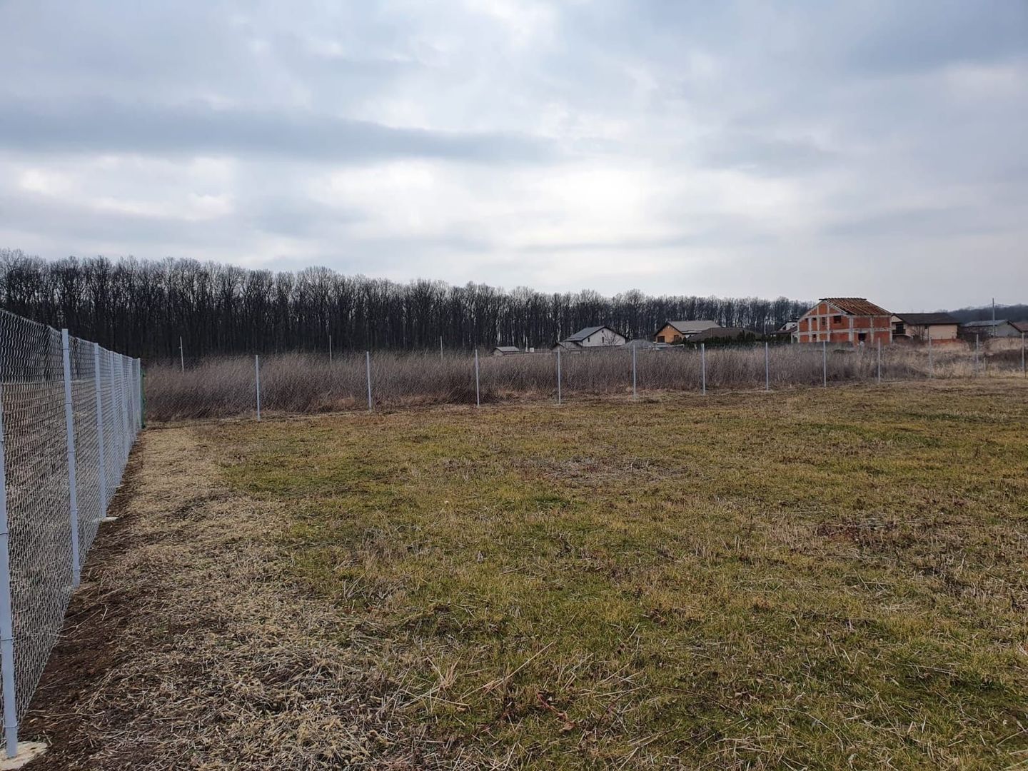 Teren 1500 mp Ghermanesti in proximitatea padurii str Nicopole - Poză 4