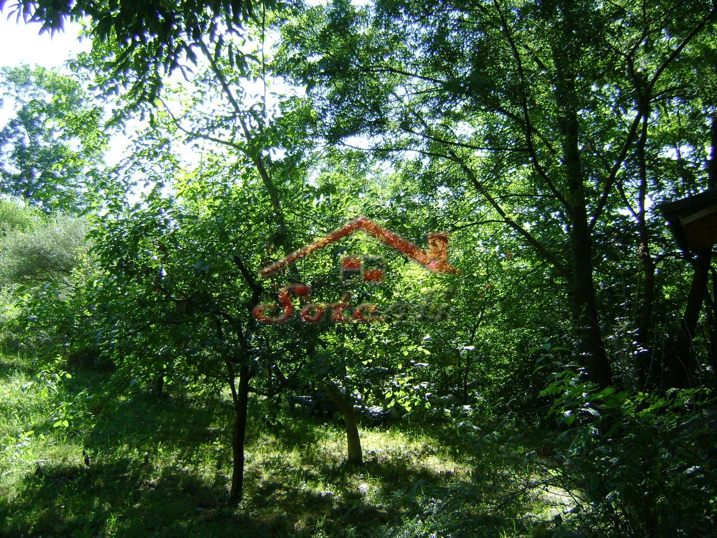 Teren de vânzare în Breaza– zonă liniștită, ideal pentru relaxare - Poză 13