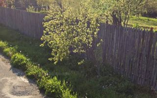 Teren intravilan Mosoaia! - Poză 2