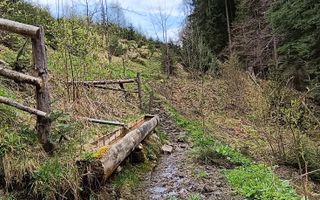 Teren Intravilan | Brodina de Jos | 16900 MP - Poză 11