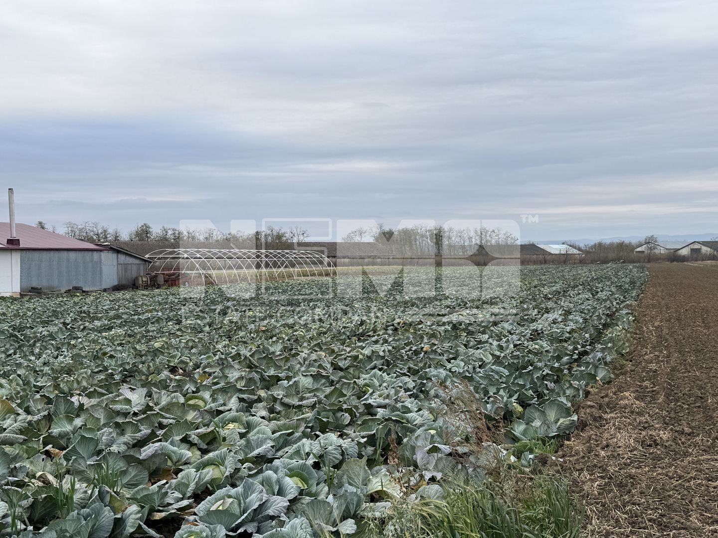 Teren 9.000 mp | Milișăuți | Intravilan | Front 38 m | 149.000 € - Poză 2