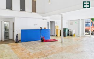 Hală Industrială / Comercială în zonă centrală - Timișoara - Poză 15