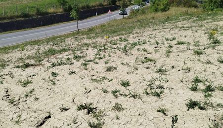 Teren intravilan, Dealul Dumitrei