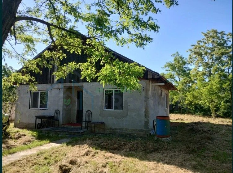 Casă de vânzare pe malul Prutului – Moreni, Iași, teren 960 mp, zonă liniștită - Poză 3