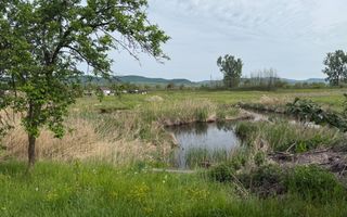 Casa cu teren generos și posibilitate de pescuit - Mica - Poză 9
