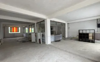 Inchiriere Clădire Producție, Depozitare, Birouri-Teren 3140 mp - Carei - Poză 15