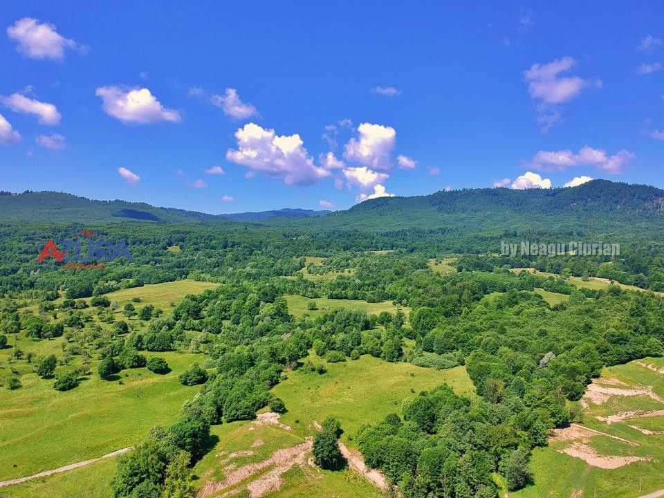 AZURA Imobiliare Pitesti - Casă de vacanță, Nucșoara! - Poză 23