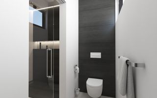 Palazu Mare - Casa desfasurata pe parter, proiect deosebit - Poză 43