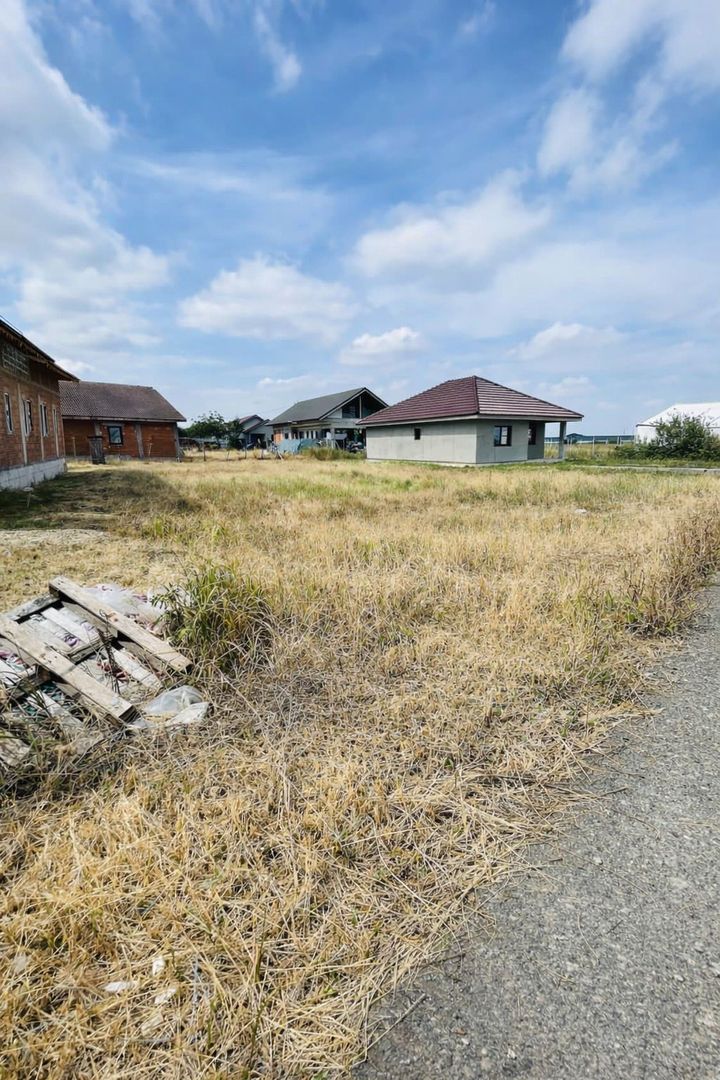 Teren intravilan 551 mp – Cihei, zonă liniștită - Poză 4