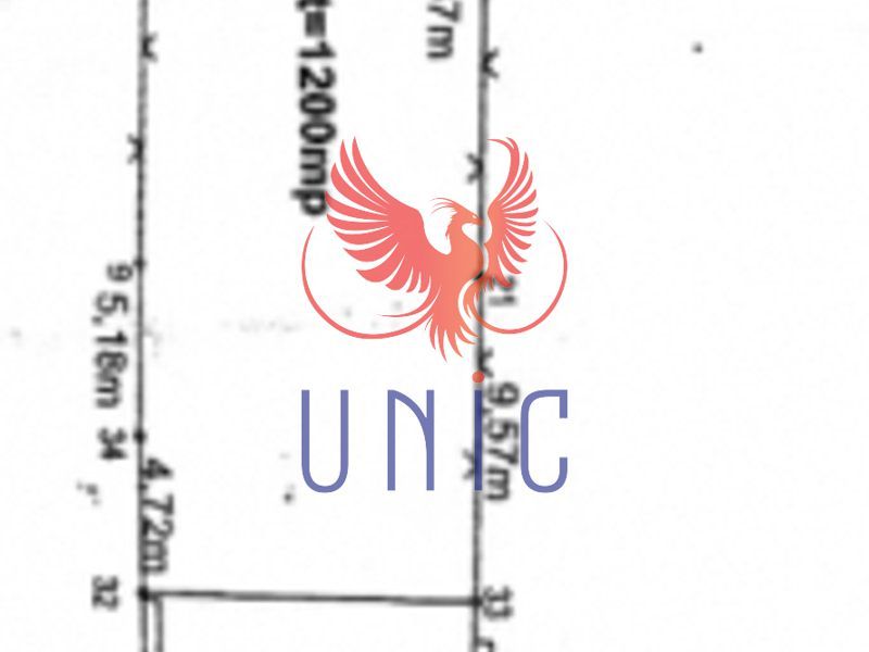 Casa 5 camere P+M, Dudovicesti - Schiță 3