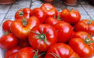 Proprietate cu 60000 mp pamant la pret de apartament - Poză 13