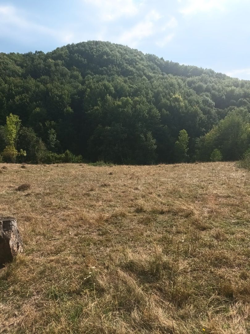 Teren de vanzare Coebeni-Turburea-Arges - Poză 2