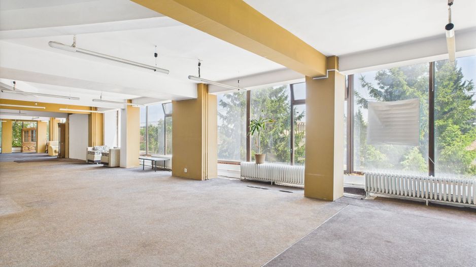 SAD – Calea Aradului, vad excelent - Poză 2