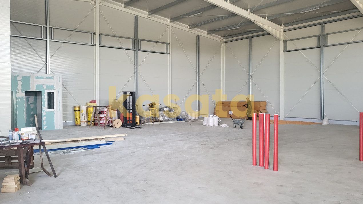 Spatiu de depozitare/productie de inchiriat - Zona de Vest - Poză 3